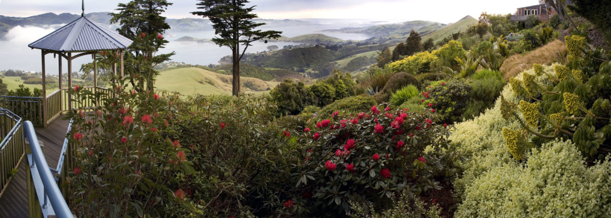 GardenPanorama_web