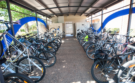 A bike shed at the University of Southern Queensland