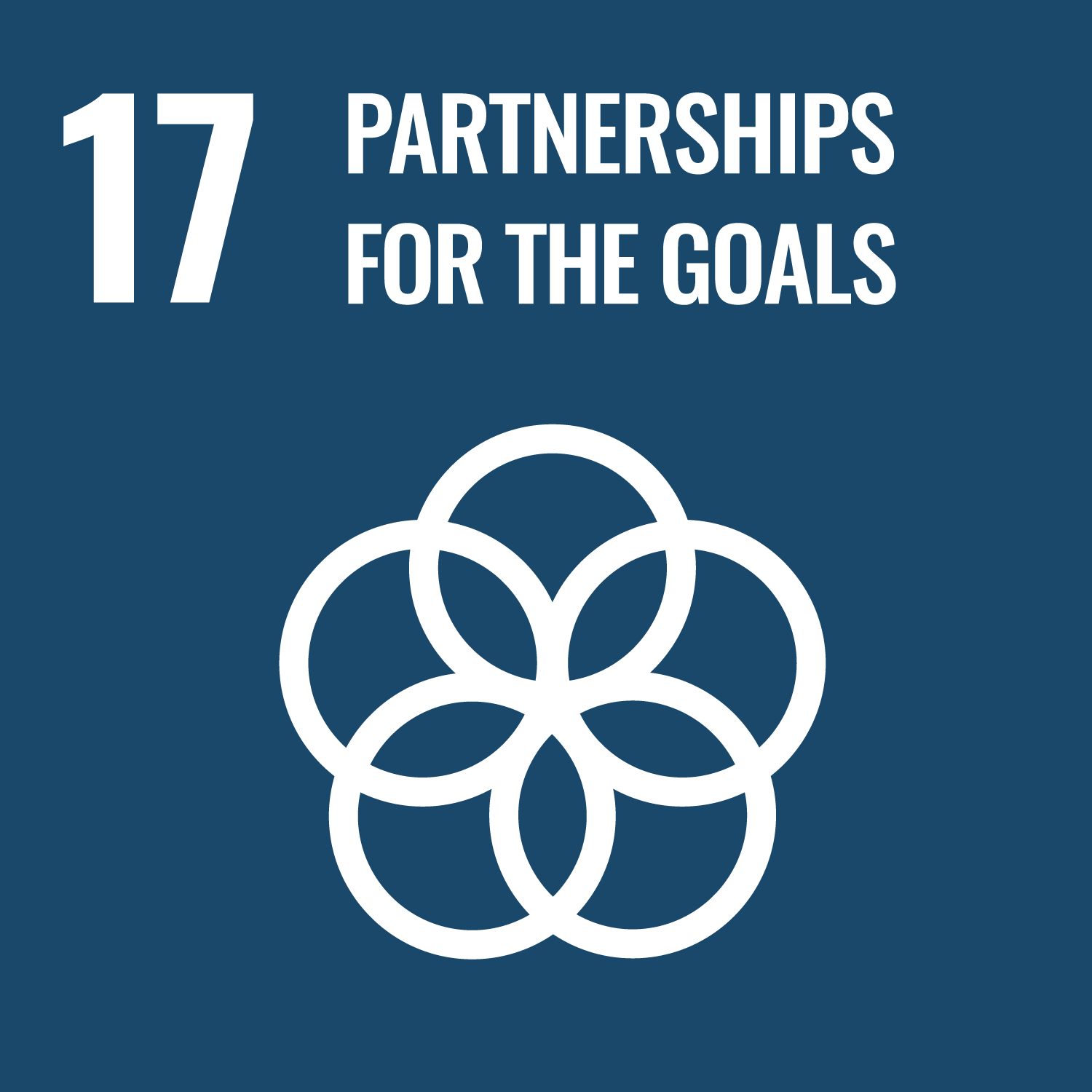 SDG 17 – Partnerships to achieve the Goal